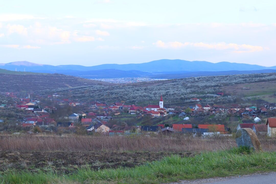 Maglovita šumska staza osvijetljena fenjerom u sumrak